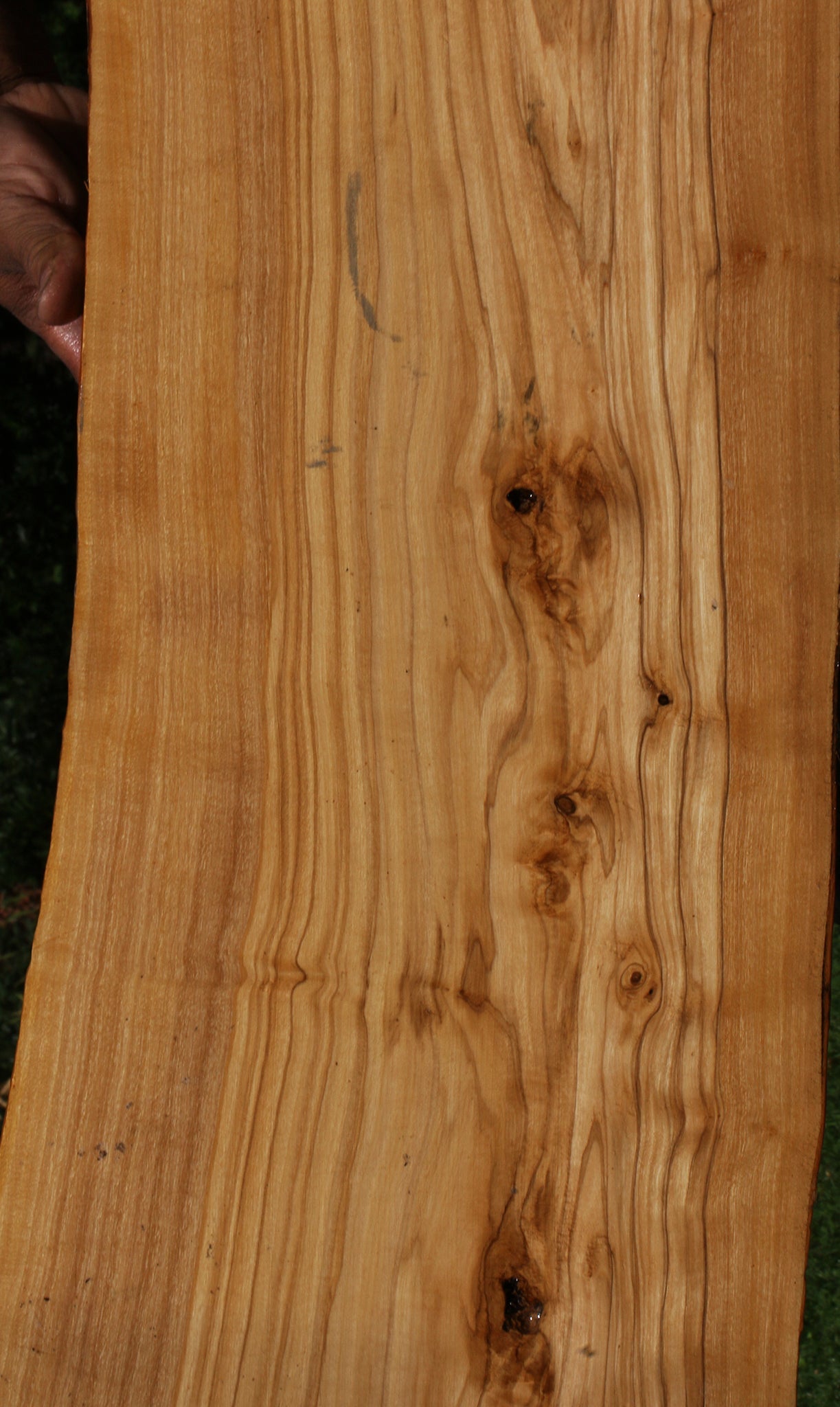 Italian Olive Live Edge Lumber