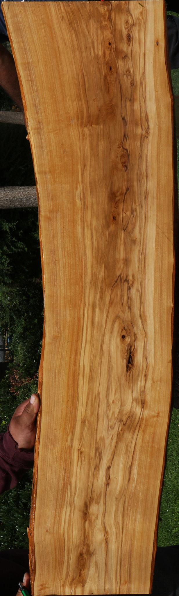 Italian Olive Live Edge Lumber