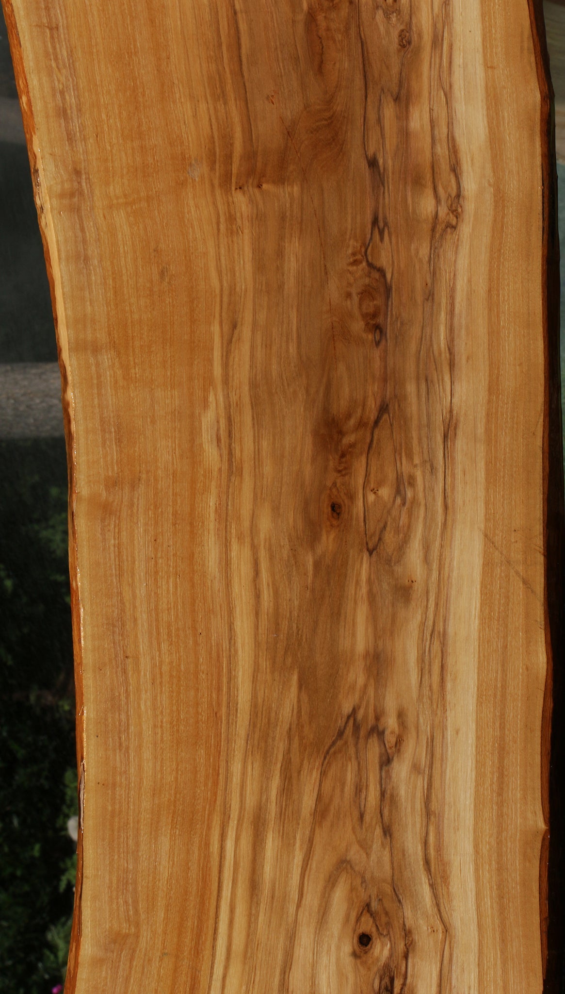 Italian Olive Live Edge Lumber