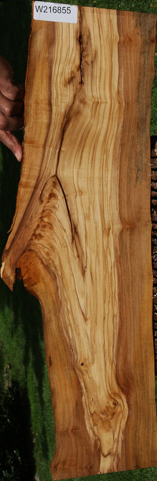 Extra Fancy Italian Olive Live Edge Lumber