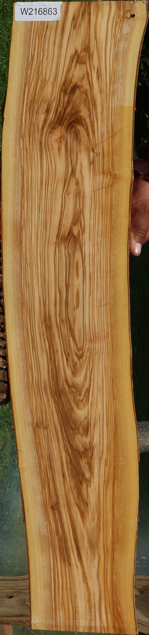 Italian Olive Live Edge Live Edge Lumber