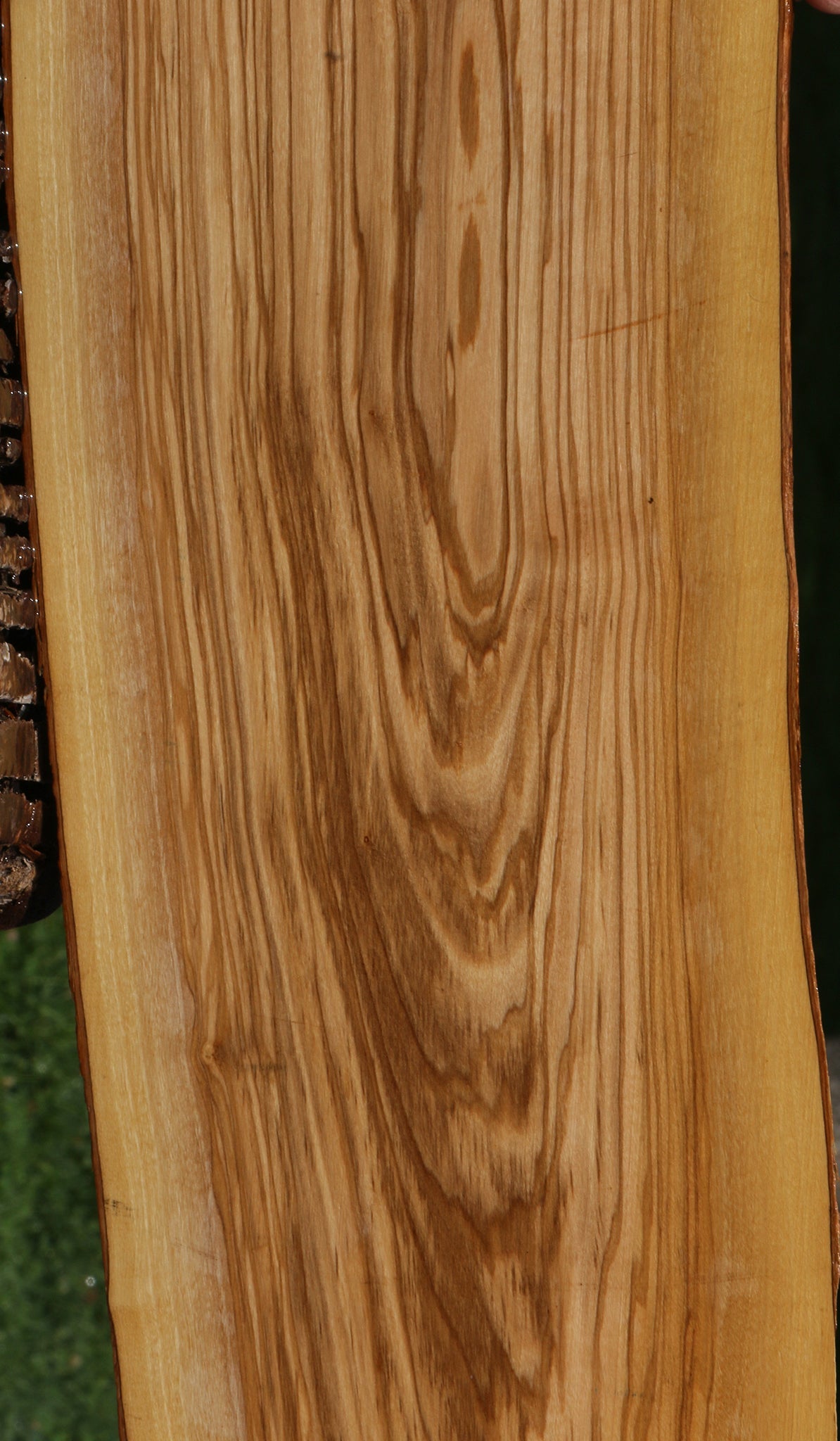 Italian Olive Live Edge Live Edge Lumber