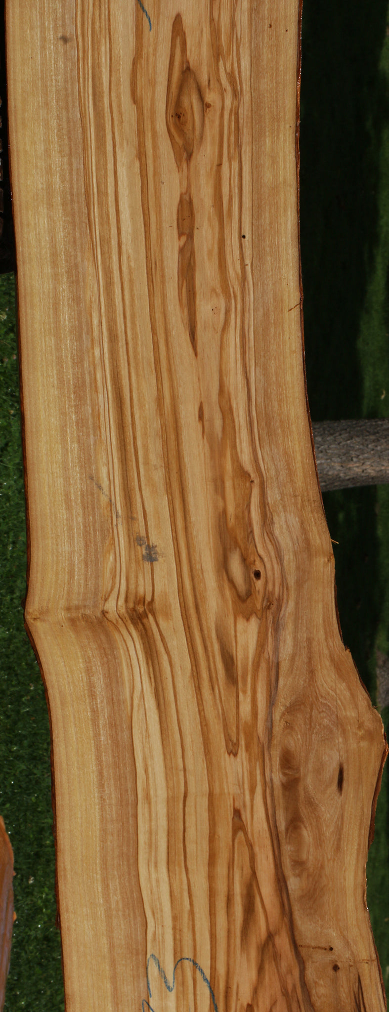 Italian Olive Burl Live Edge Lumber