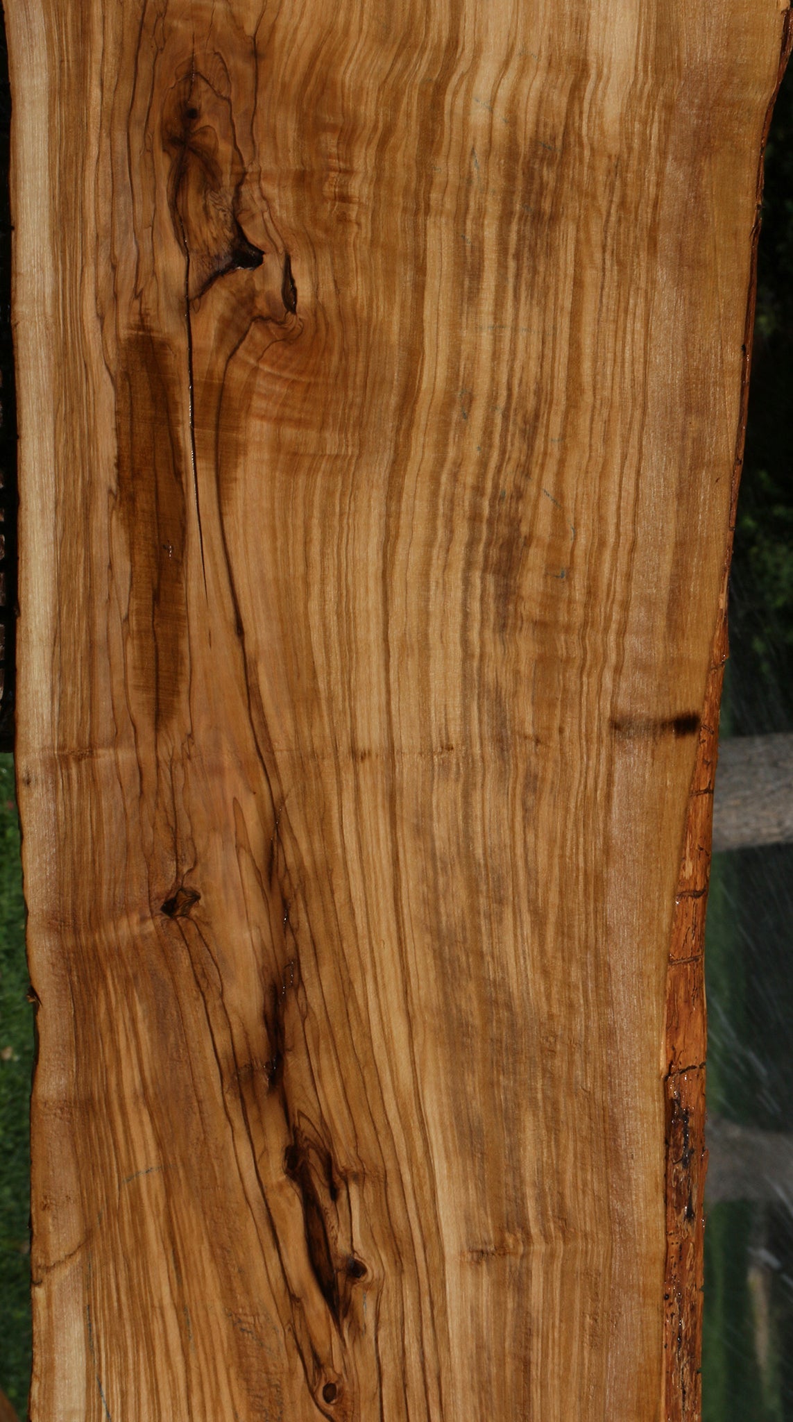 Rustic Italian Olive Live Edge Lumber