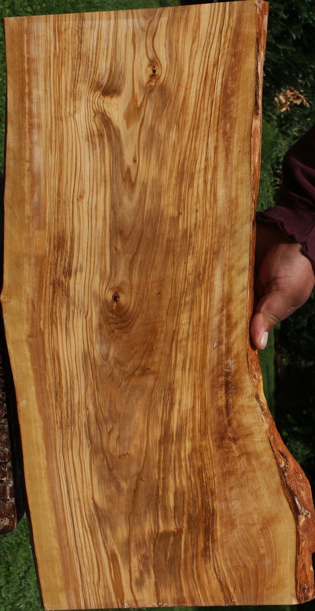 Italian Olive Live Edge Lumber