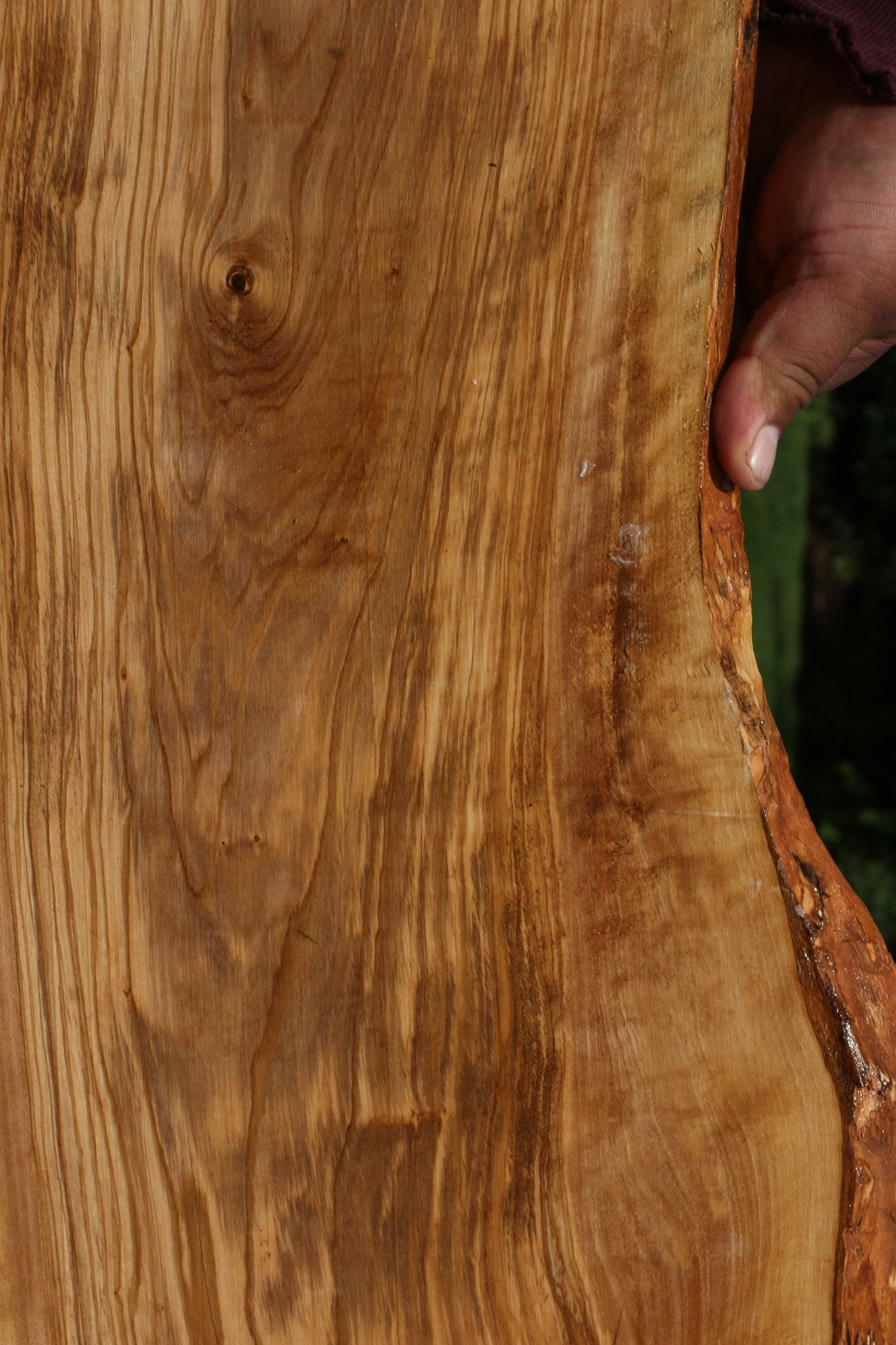 Italian Olive Live Edge Lumber