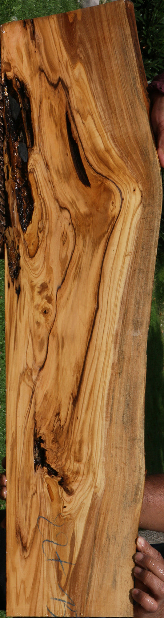 Rustic Italian Olive Live Edge Lumber