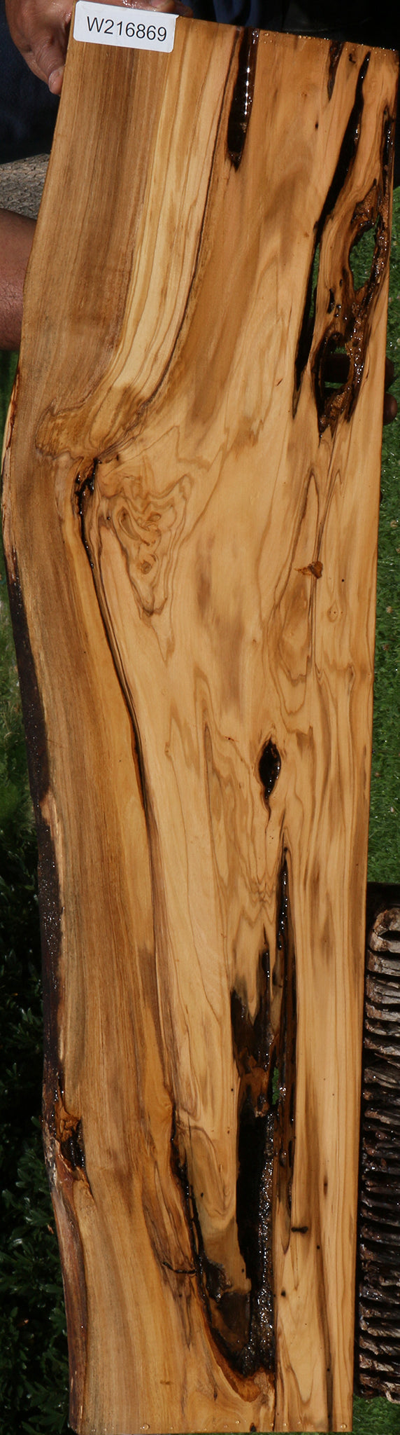 Rustic Italian Olive Live Edge Lumber