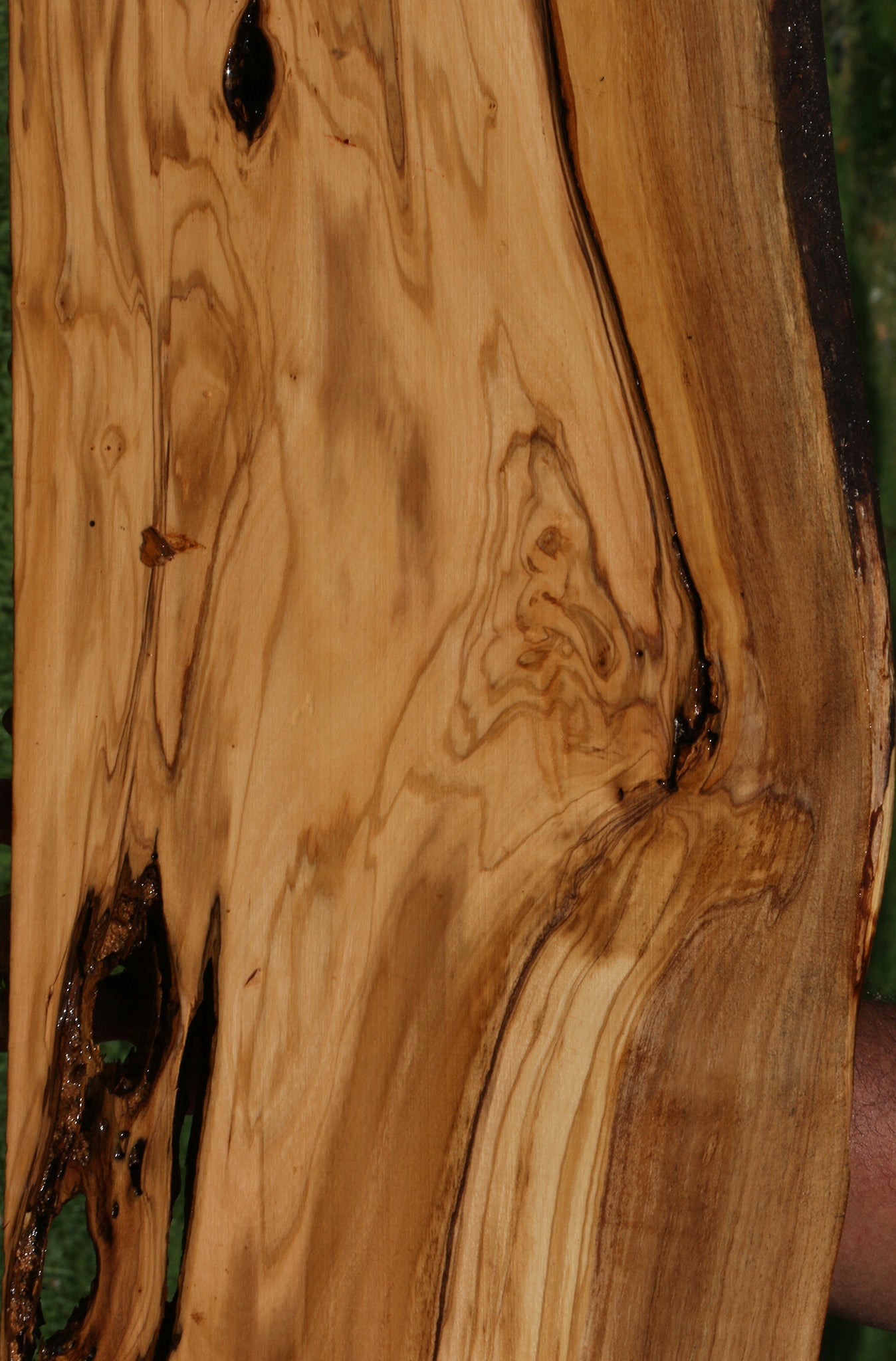 Rustic Italian Olive Live Edge Lumber