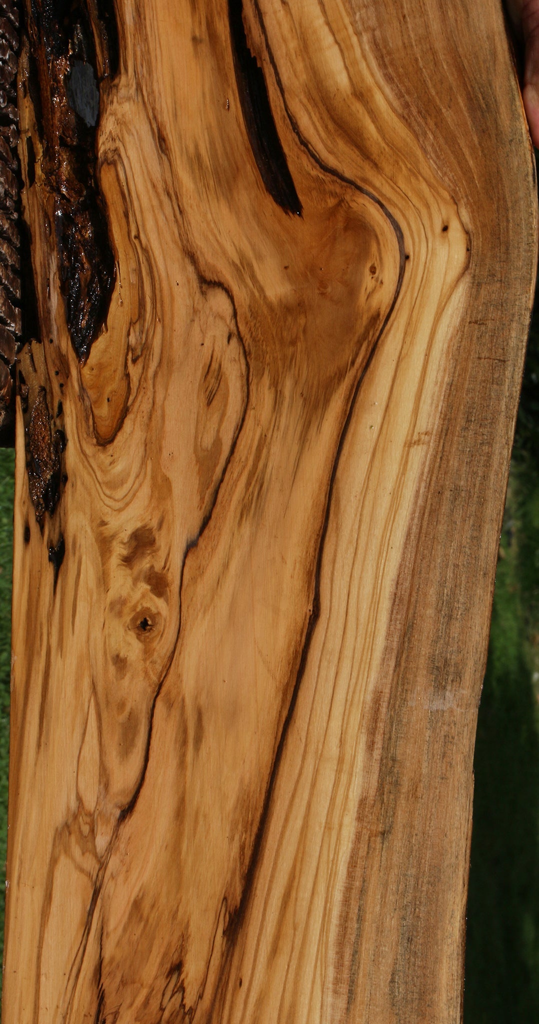 Rustic Italian Olive Live Edge Lumber