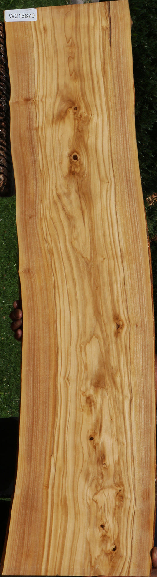 Italian Olive Live Edge Lumber