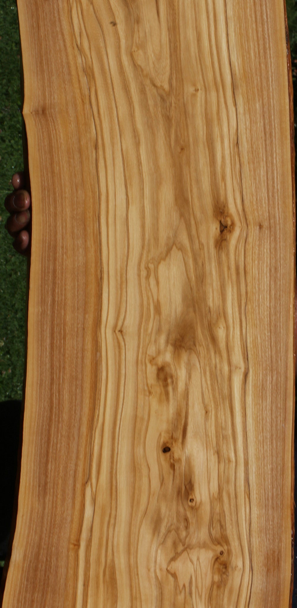 Italian Olive Live Edge Lumber