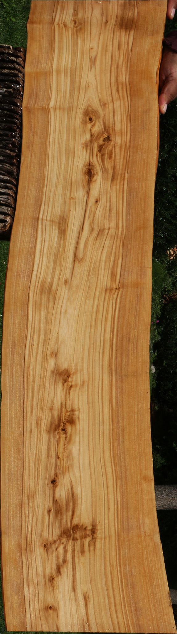 Italian Olive Live Edge Lumber