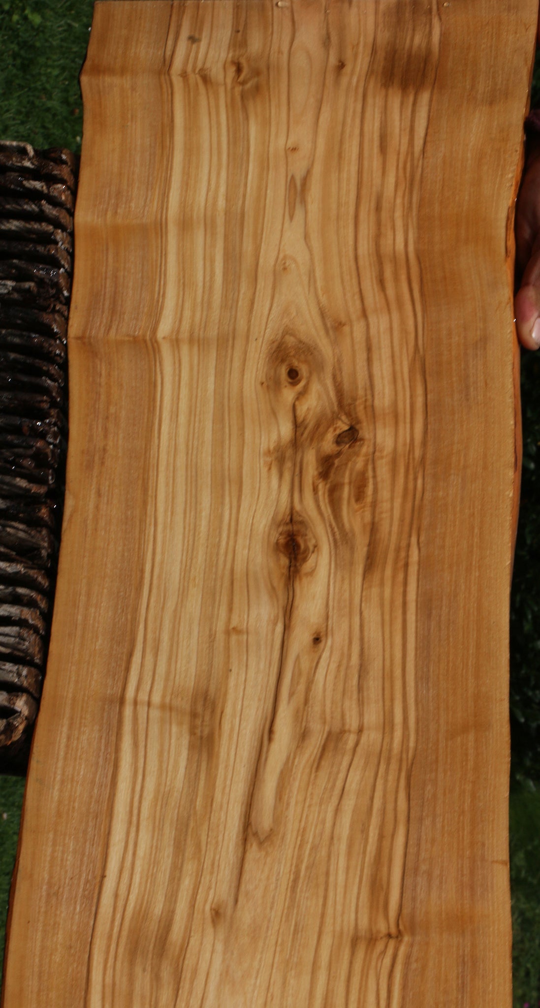 Italian Olive Live Edge Lumber