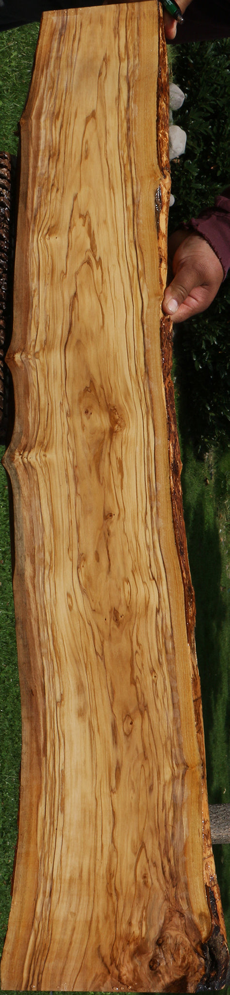 Italian Olive Live Edge Lumber