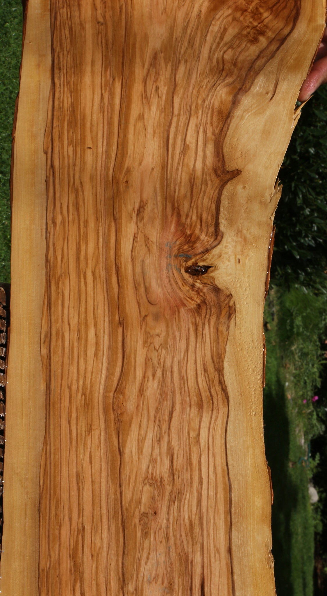 Extra Fancy Italian Olive Live Edge Lumber