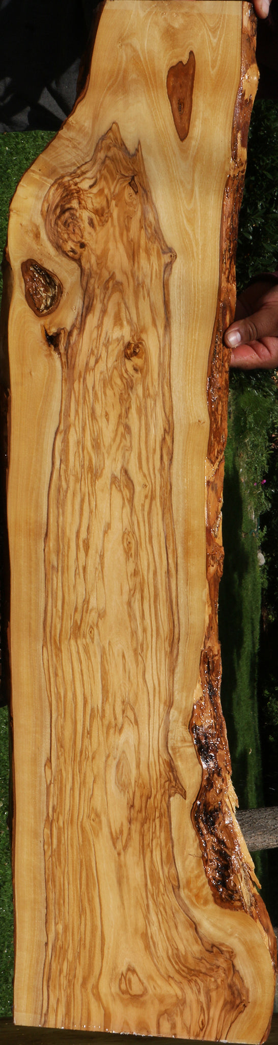 Extra Fancy Italian Olive Live Edge Lumber