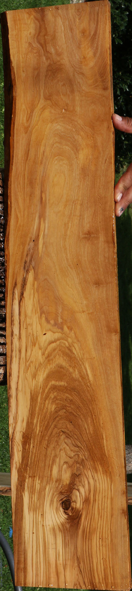 Extra Fancy Italian Olive Live Edge Lumber