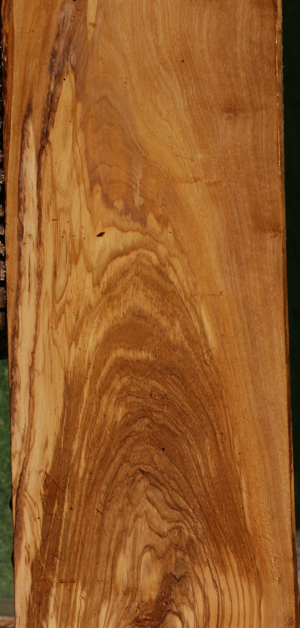 Extra Fancy Italian Olive Live Edge Lumber