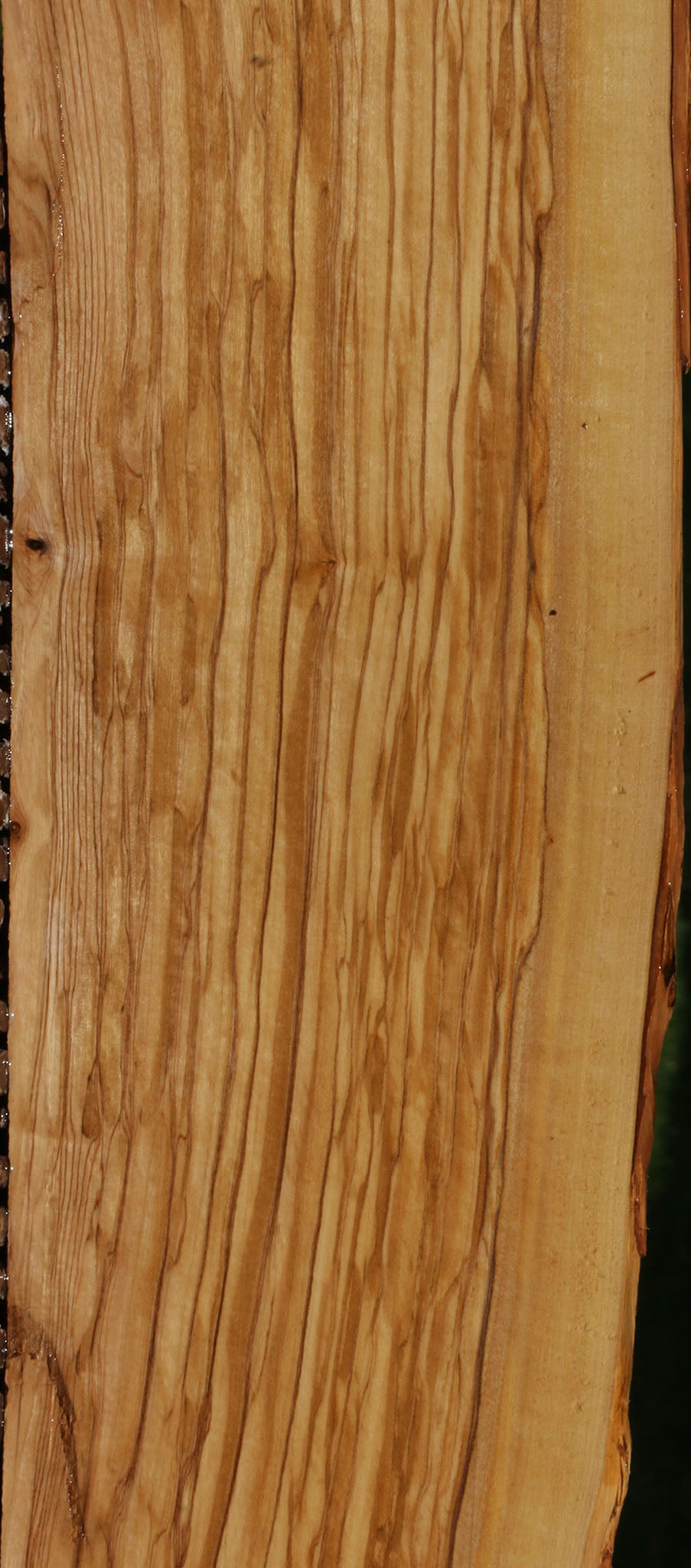 Extra Fancy Italian Olive Live Edge Lumber