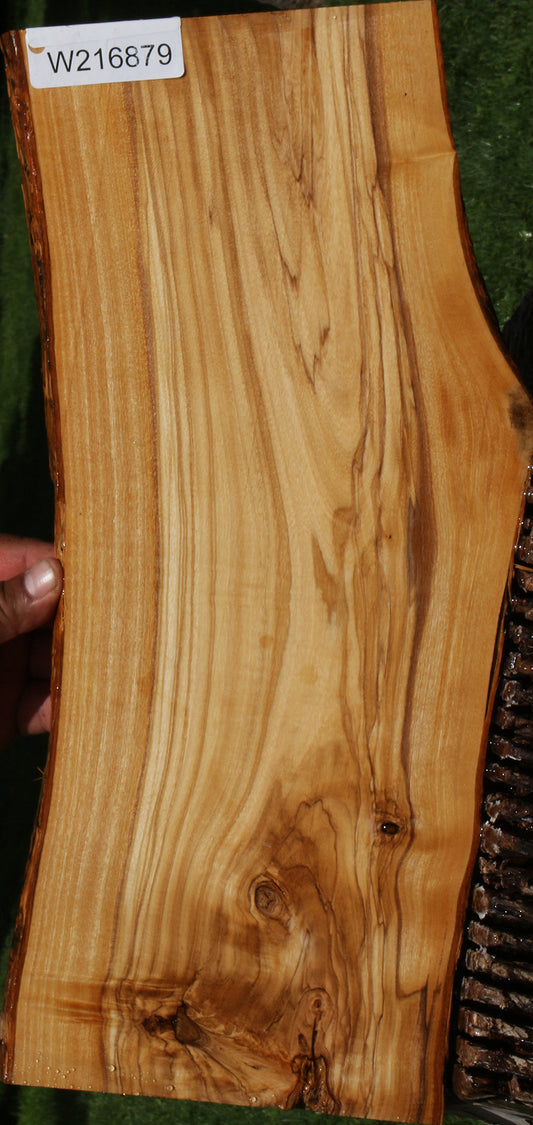 Italian Olive Live Edge Lumber