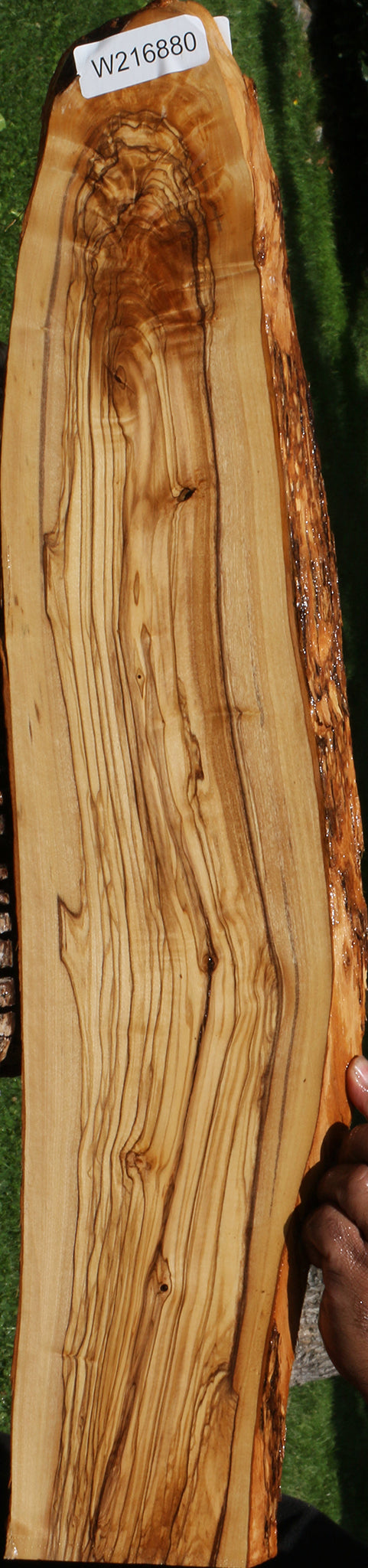 Extra Fancy Italian Olive Live Edge Lumber