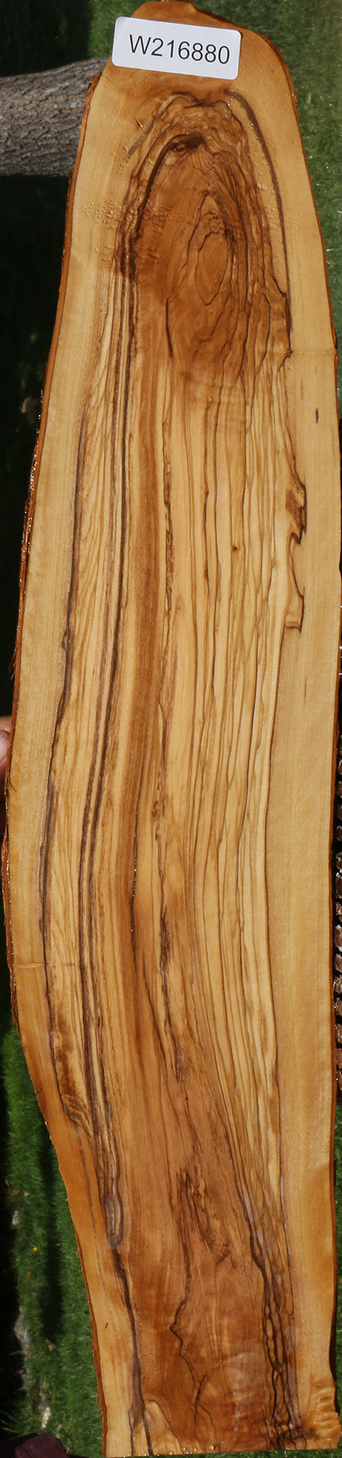 Extra Fancy Italian Olive Live Edge Lumber