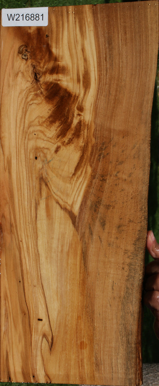 Extra Fancy Italian Olive Live Edge Lumber