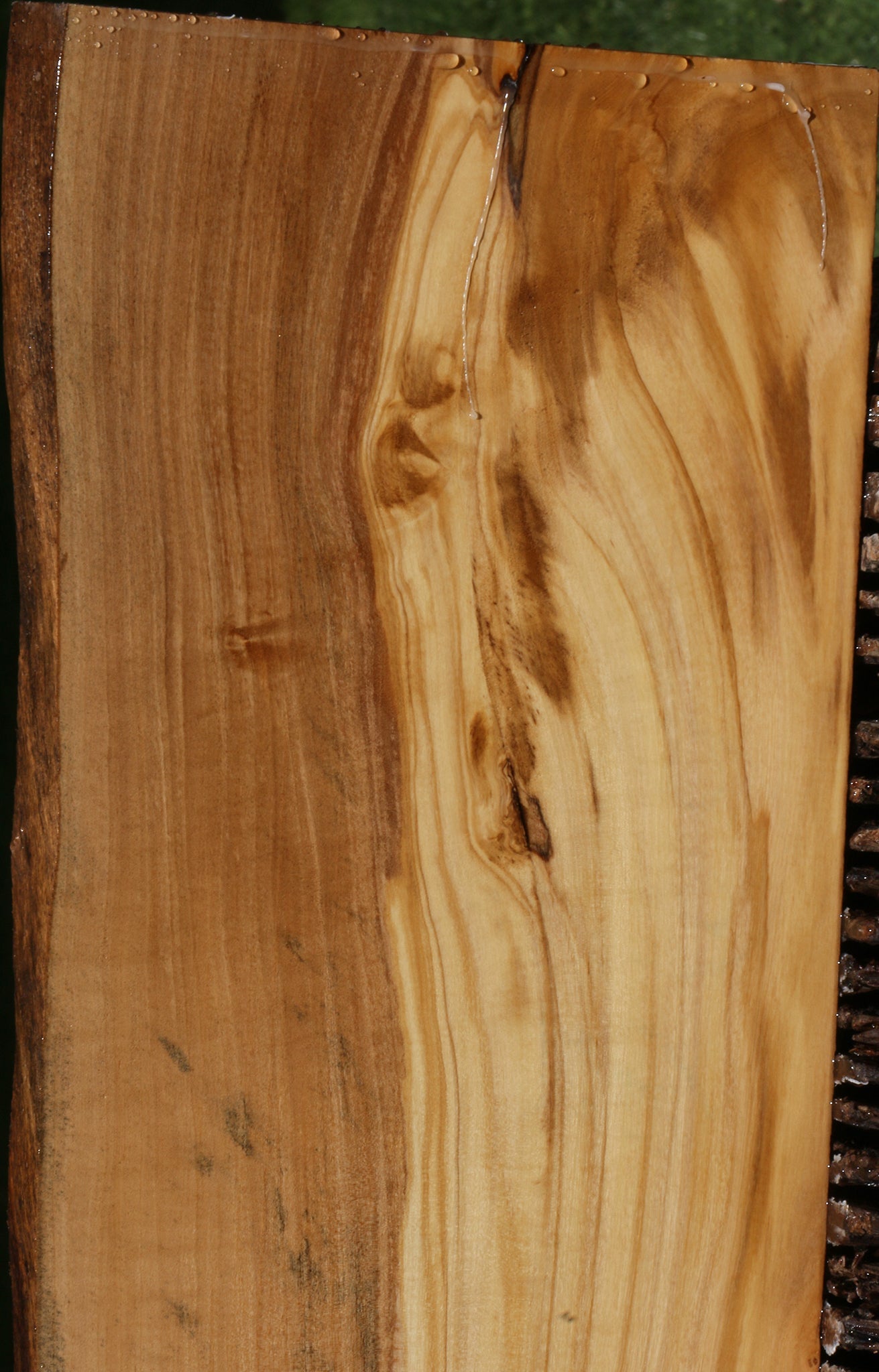 Extra Fancy Italian Olive Live Edge Lumber