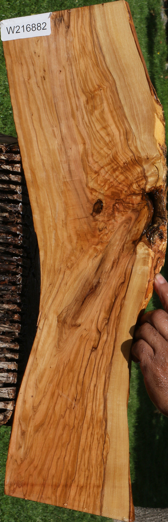 Extra Fancy Italian Olive Live Edge Lumber