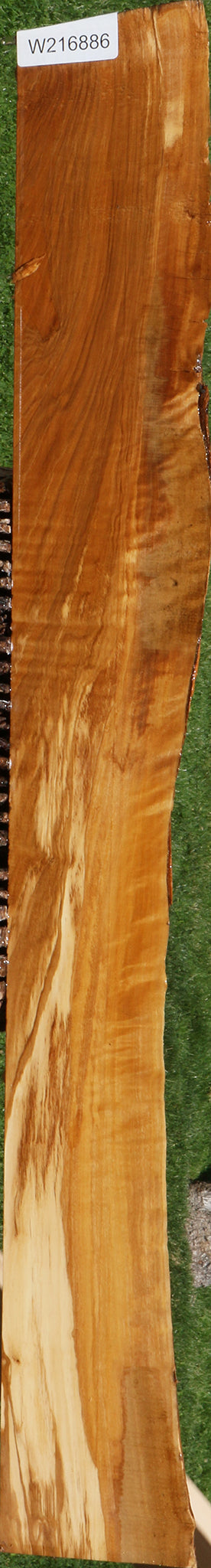 Extra Fancy Italian Olive Live Edge Lumber