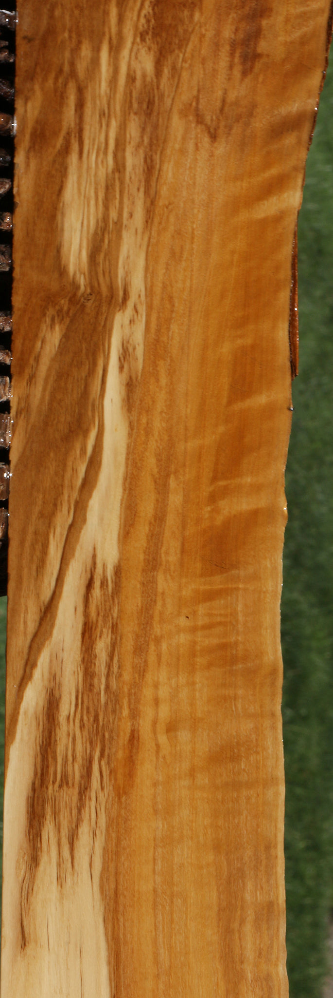 Extra Fancy Italian Olive Live Edge Lumber