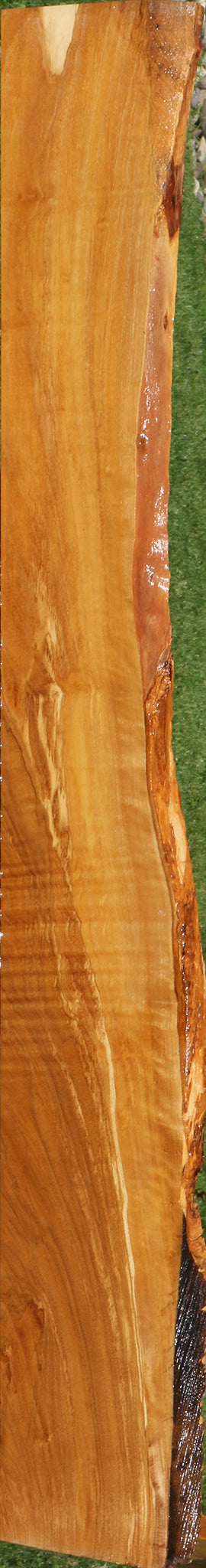 Extra Fancy Italian Olive Live Edge Lumber