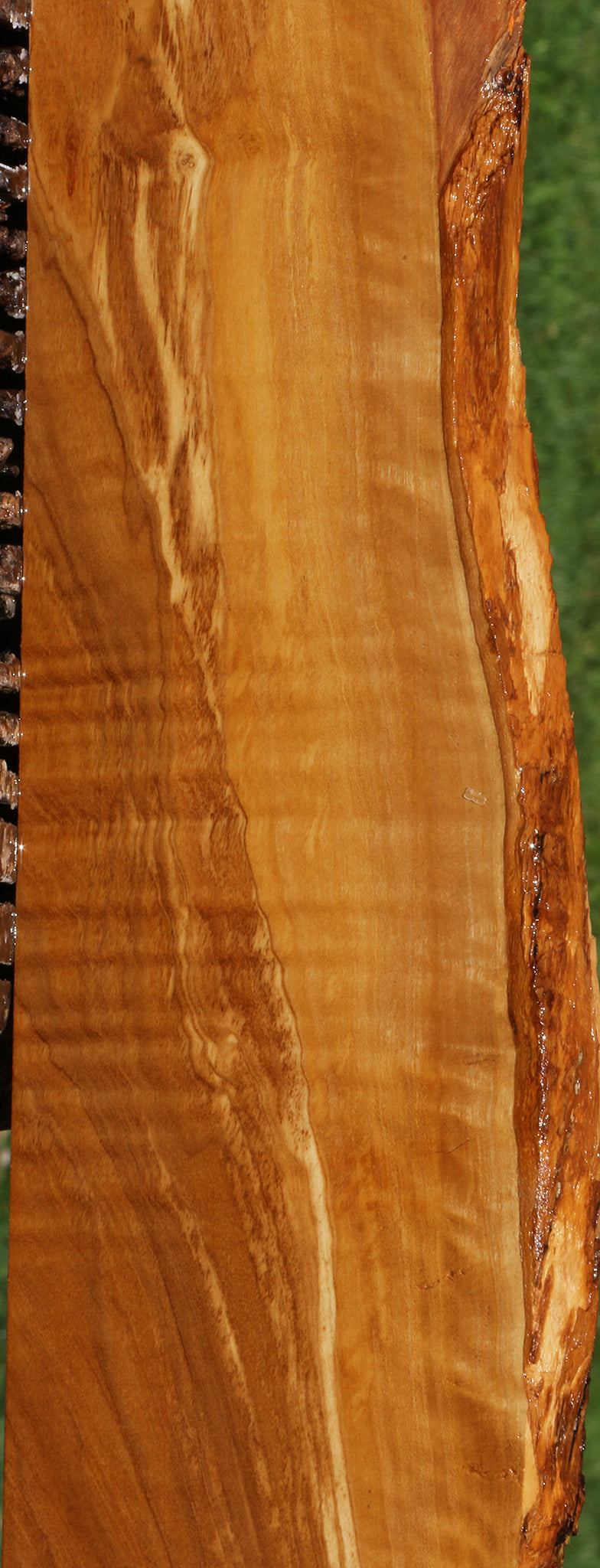 Extra Fancy Italian Olive Live Edge Lumber