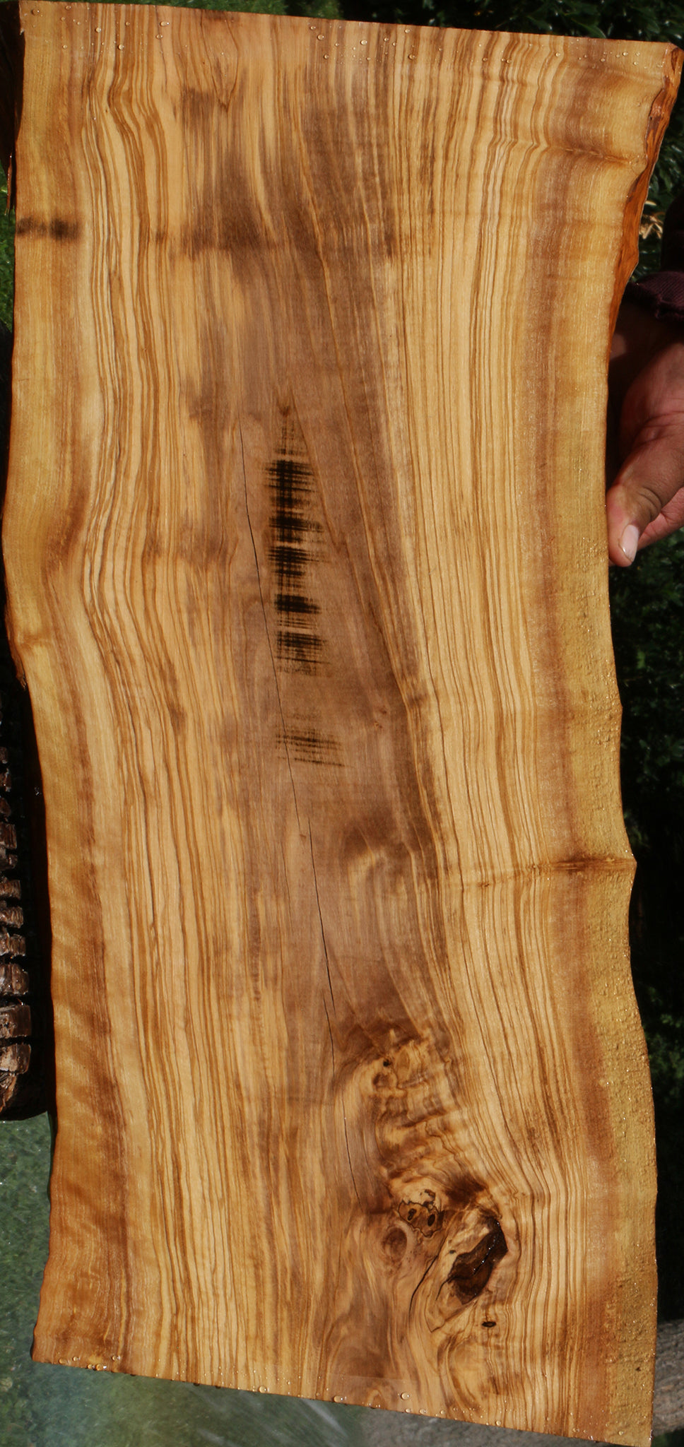 Italian Olive Live Edge Lumber