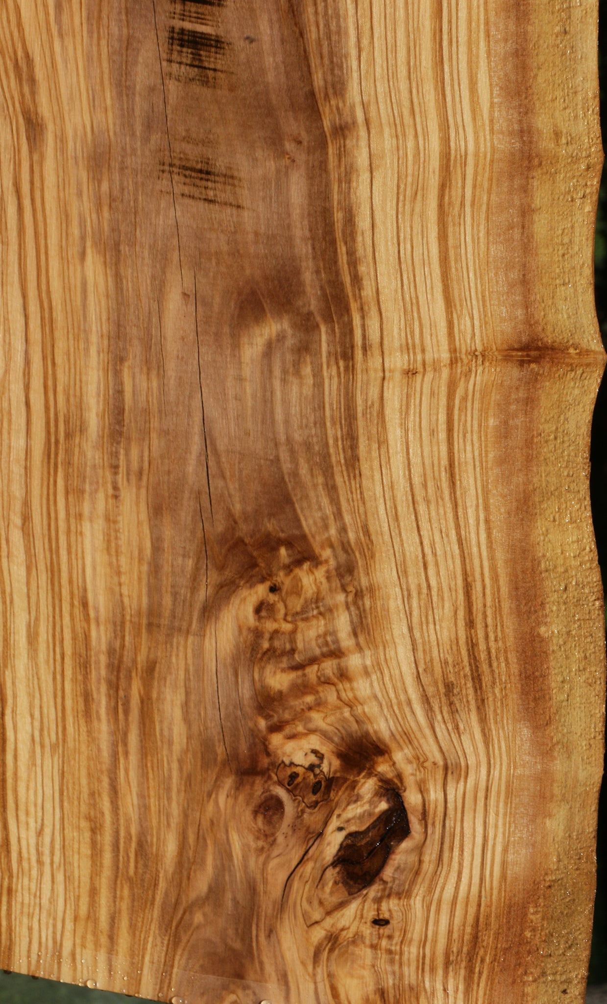 Italian Olive Live Edge Lumber