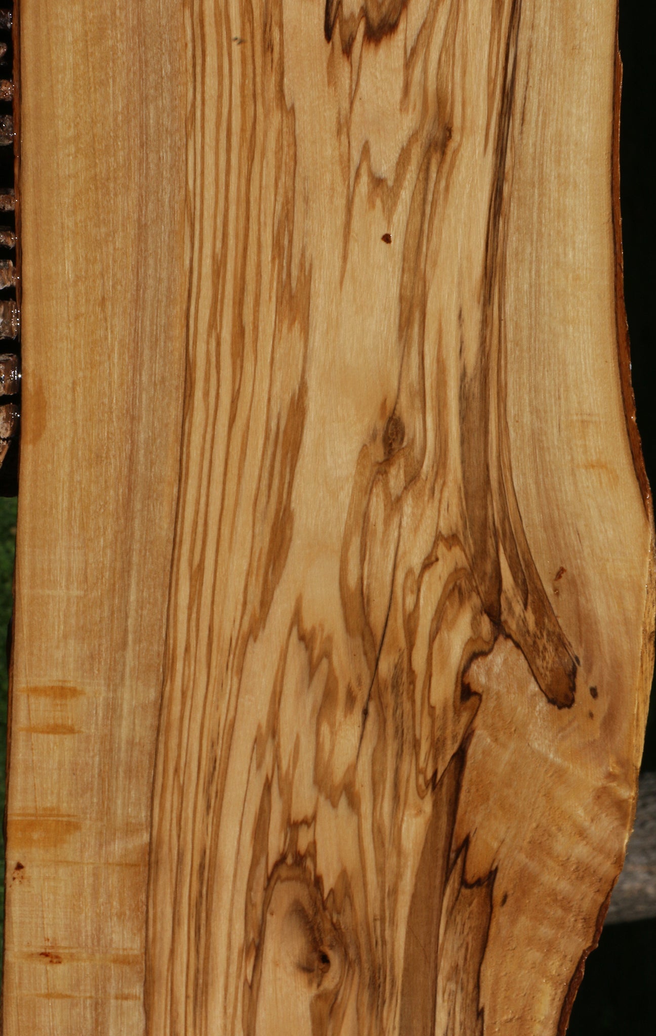 Italian Olive Live Edge Lumber