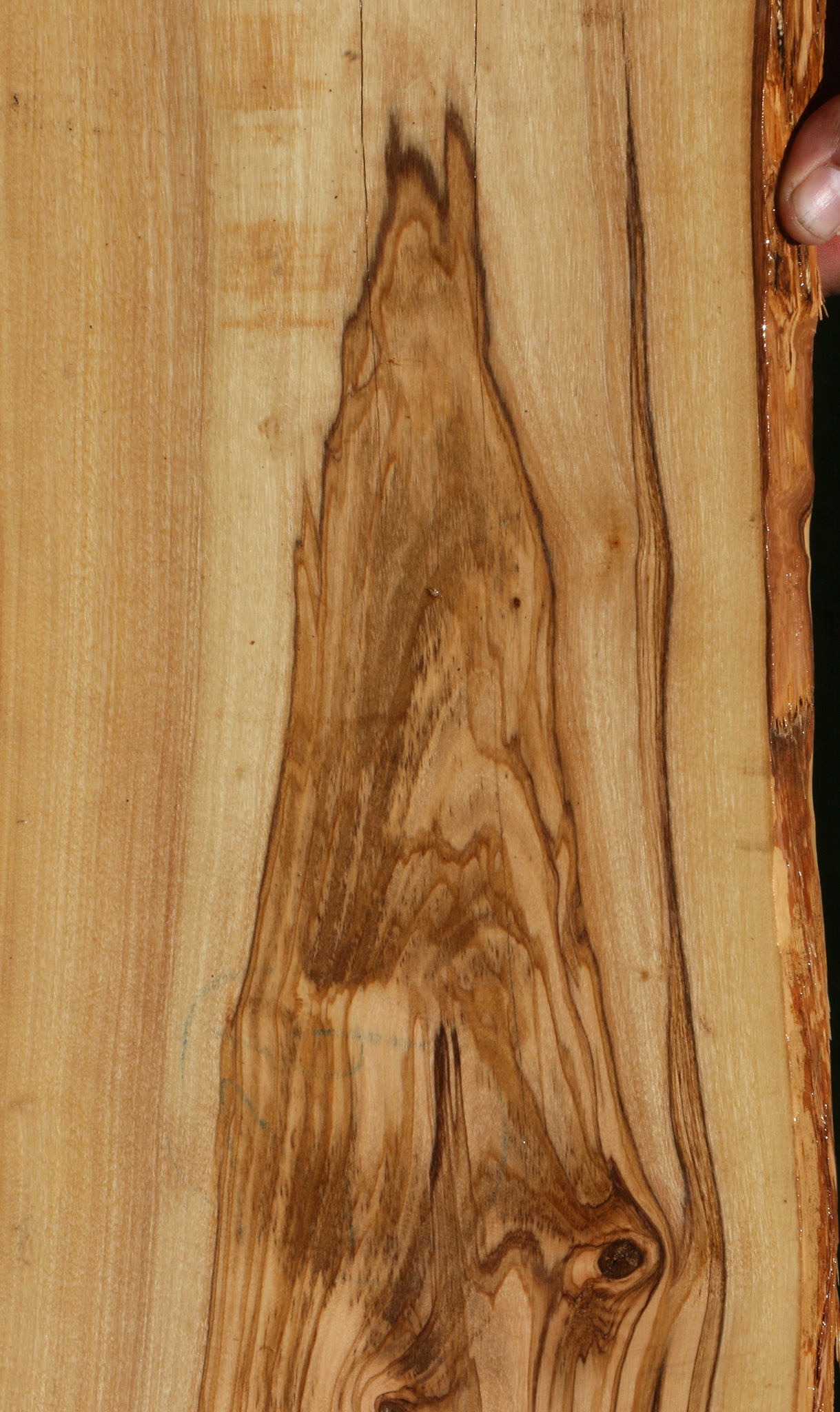 Italian Olive Live Edge Lumber