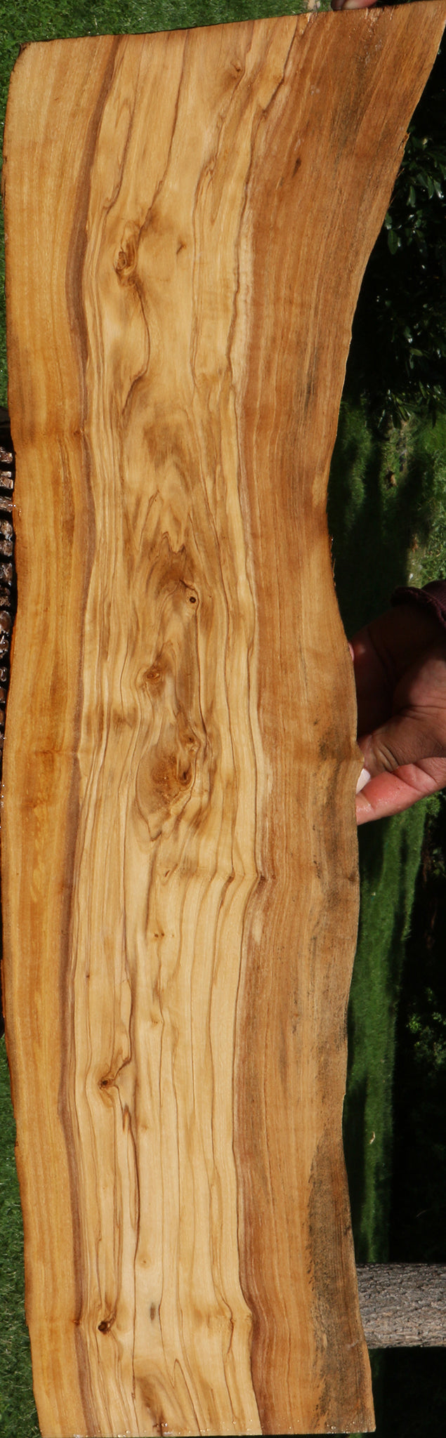 Italian Olive Live Edge Lumber