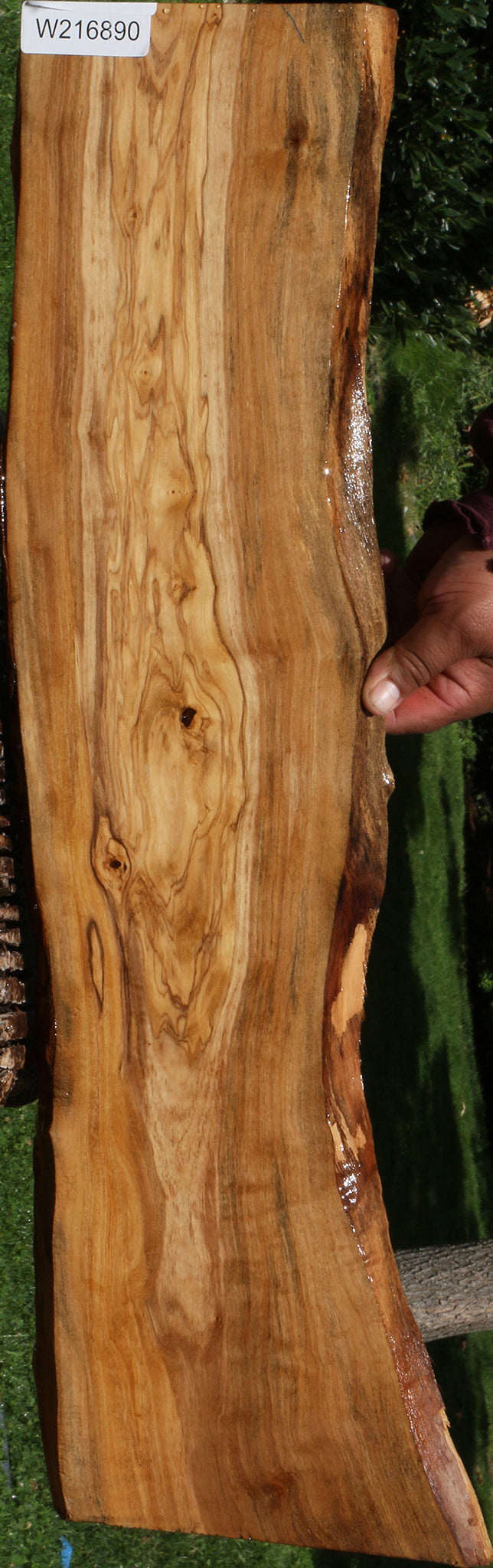 Italian Olive Live Edge Lumber