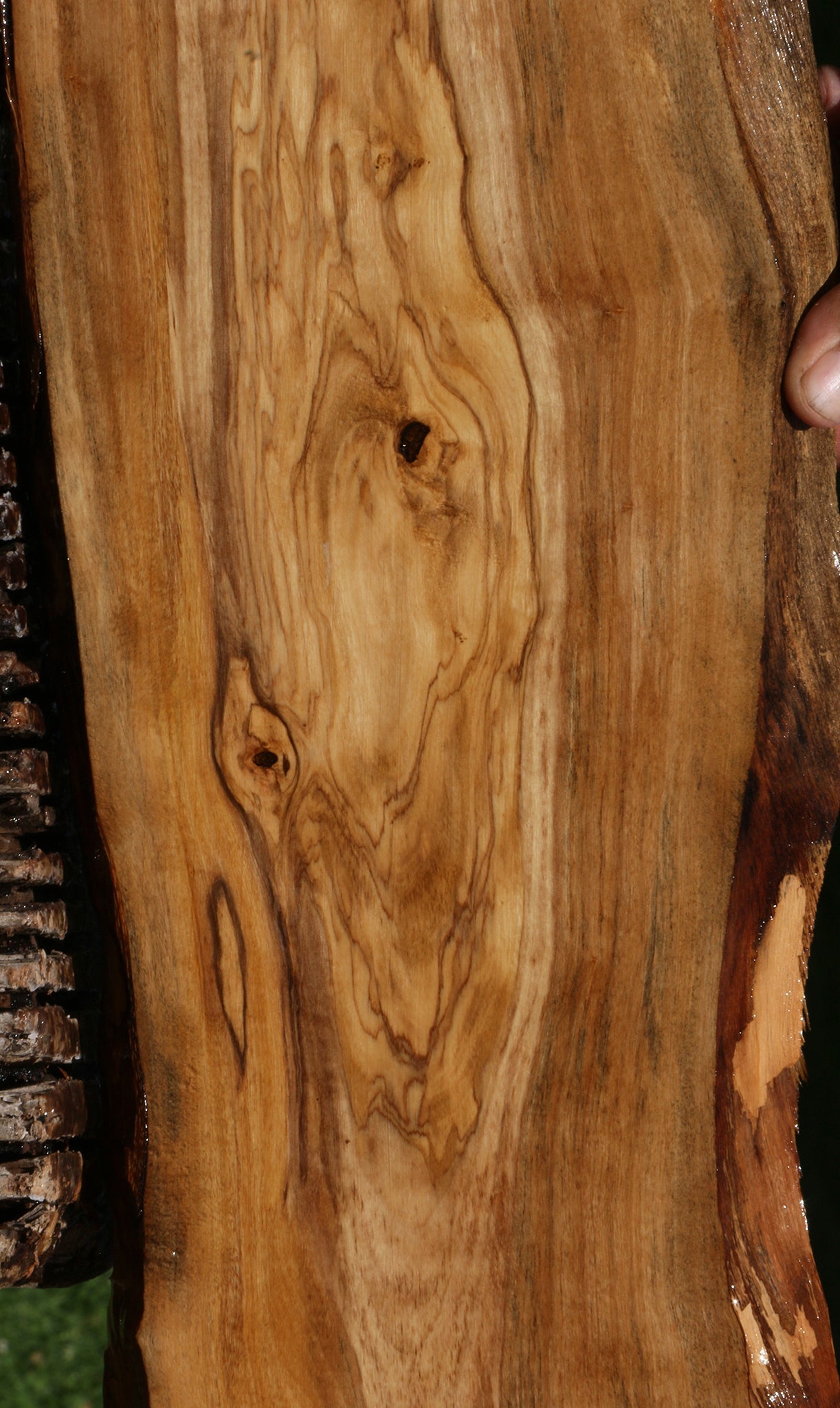 Italian Olive Live Edge Lumber