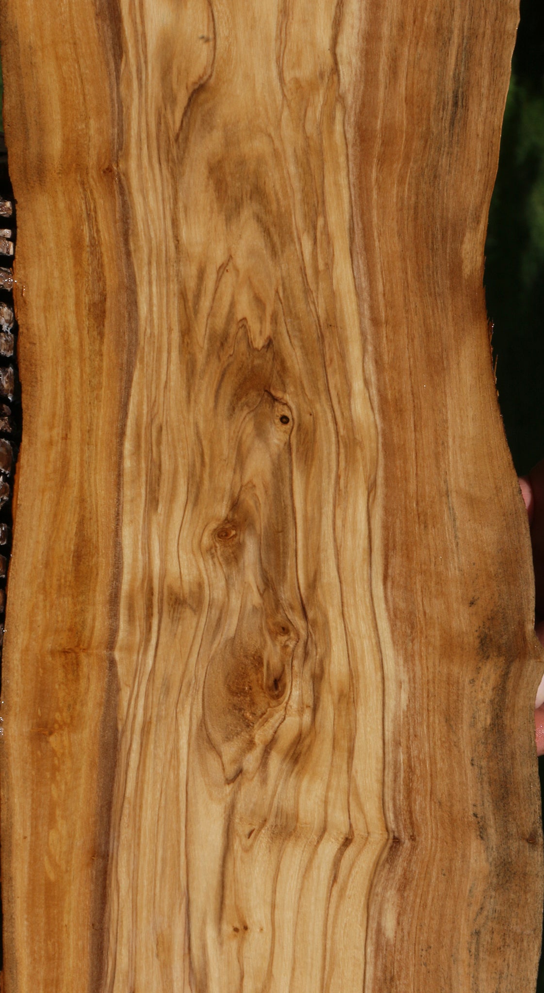 Italian Olive Live Edge Lumber