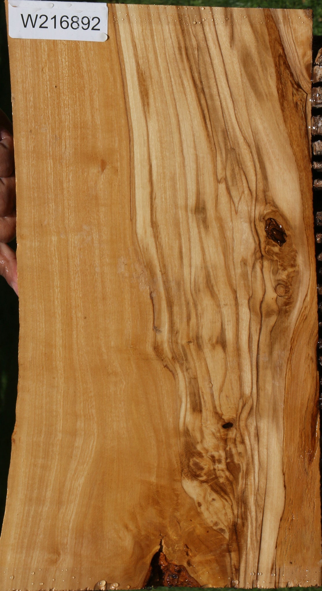 Italian Olive Live Edge Lumber