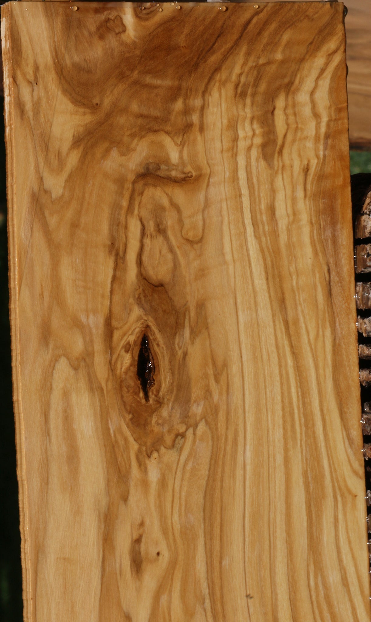 Figured Italian Olive Lumber