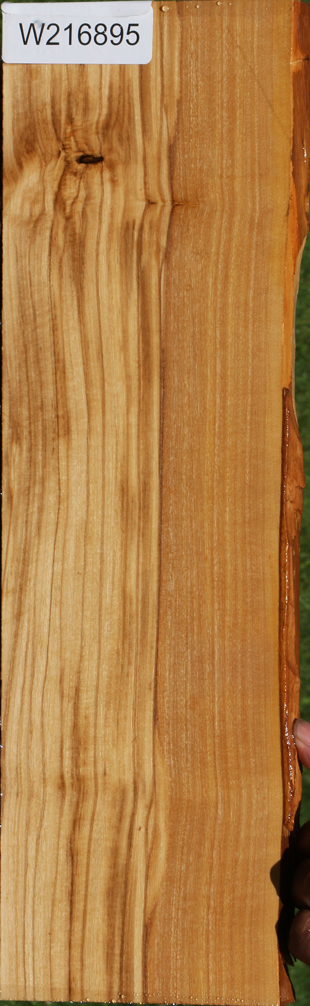 Italian Olive Live Edge Lumber