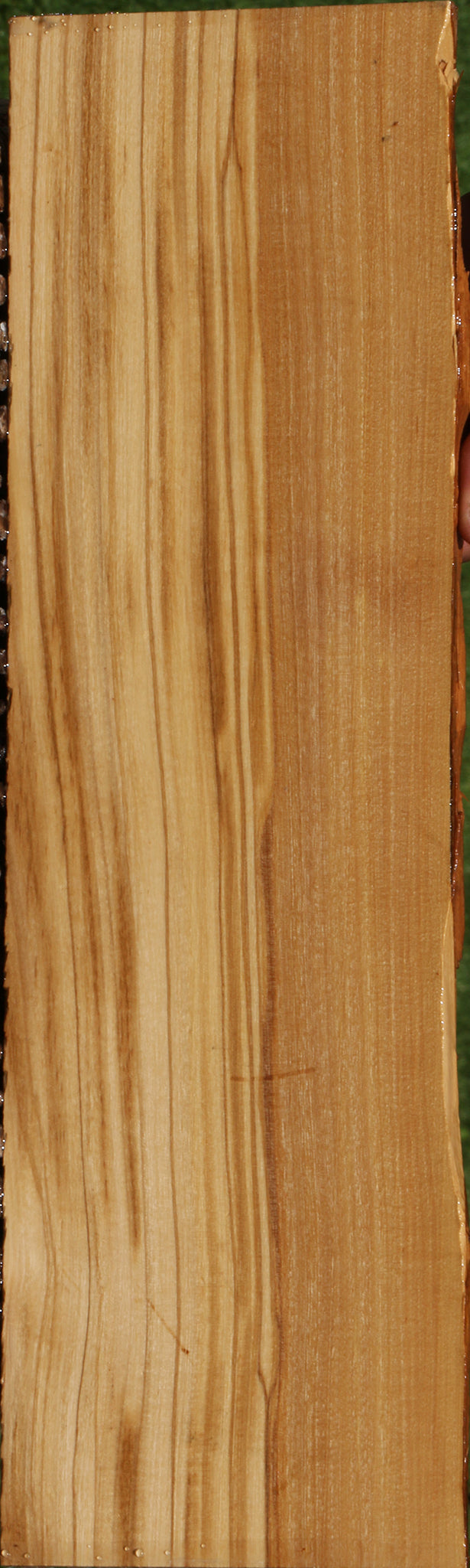 Italian Olive Live Edge Lumber