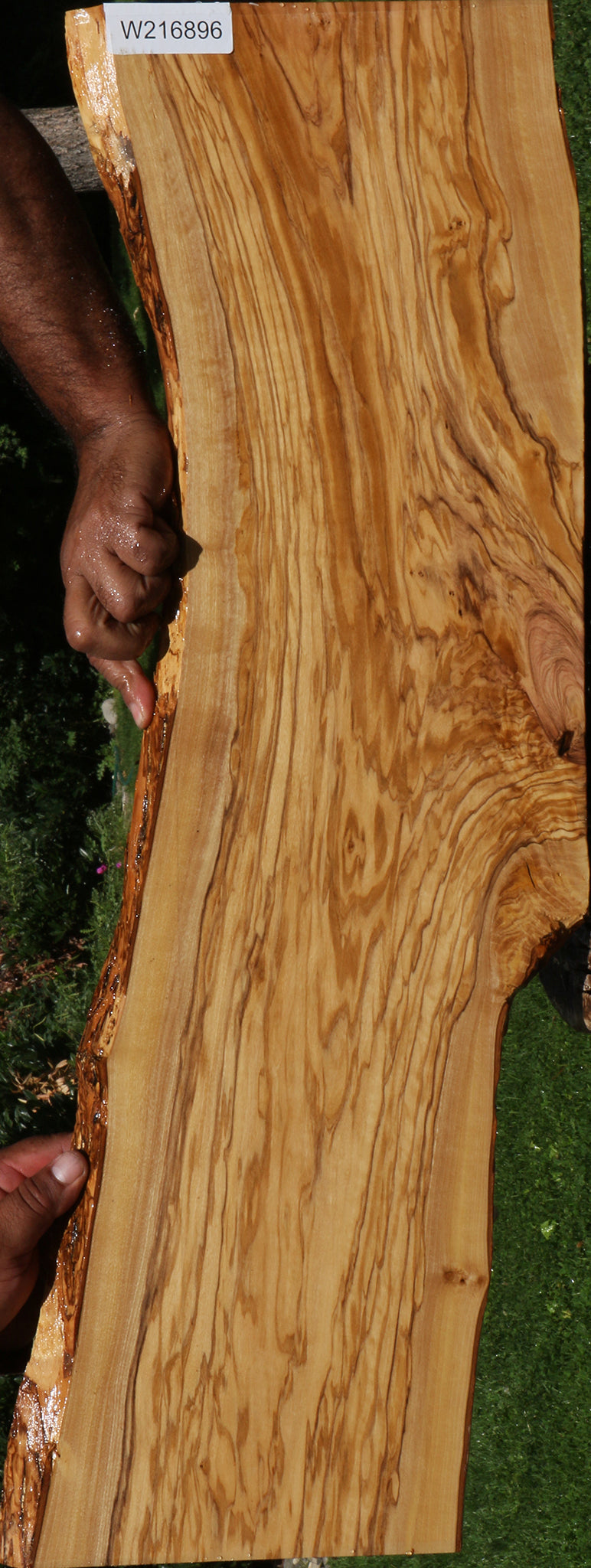 Italian Olive Live Edge Lumber