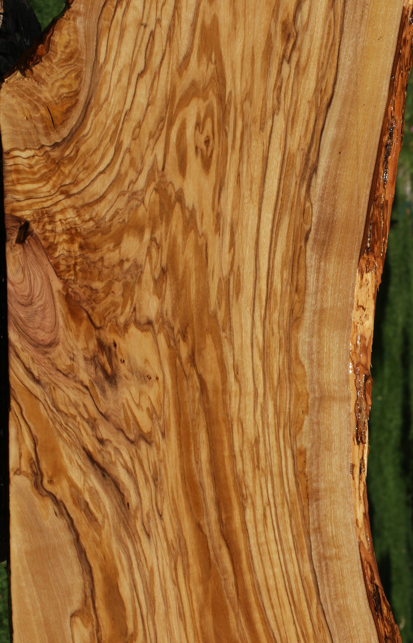 Italian Olive Live Edge Lumber