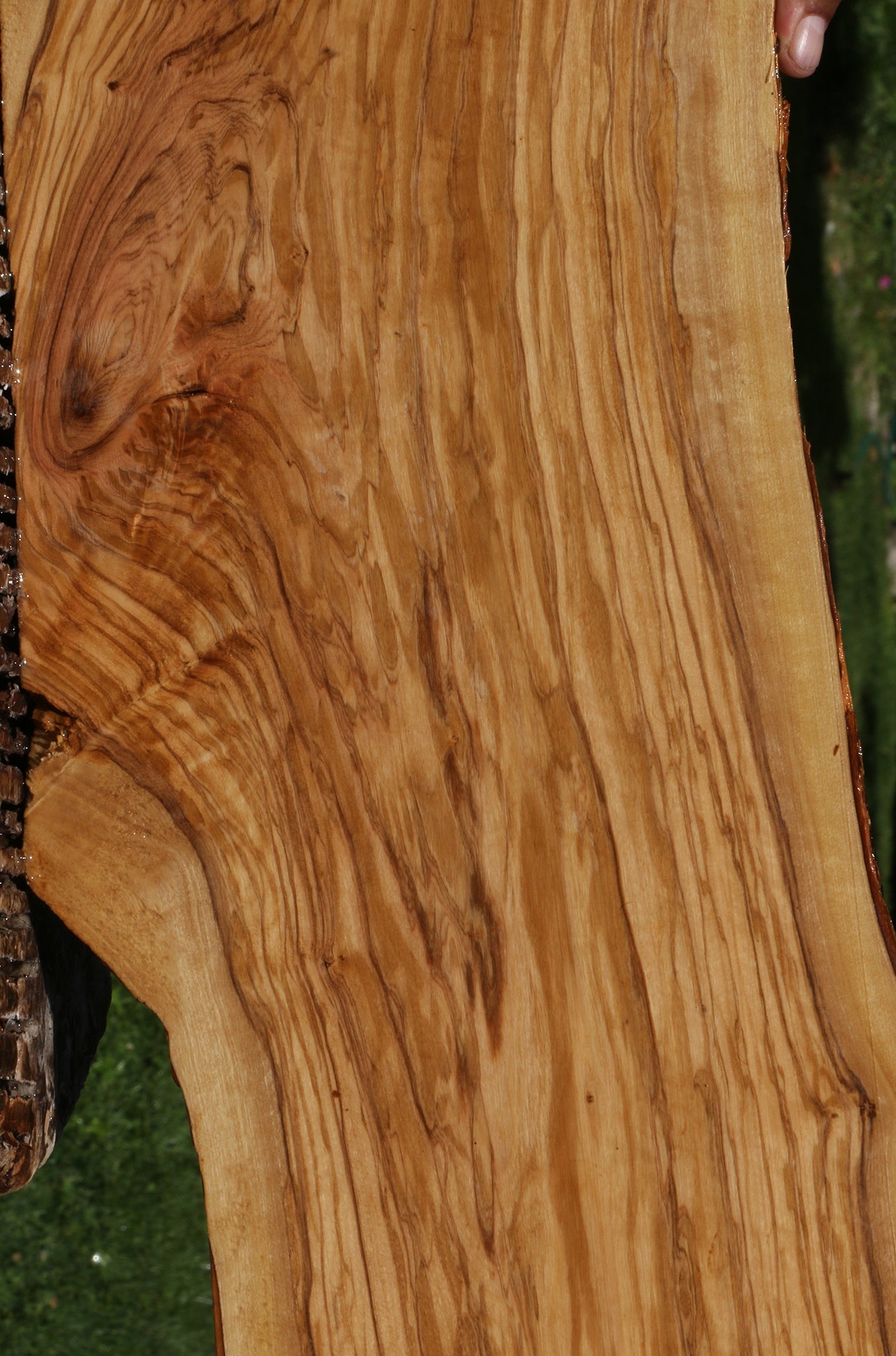 Italian Olive Live Edge Lumber