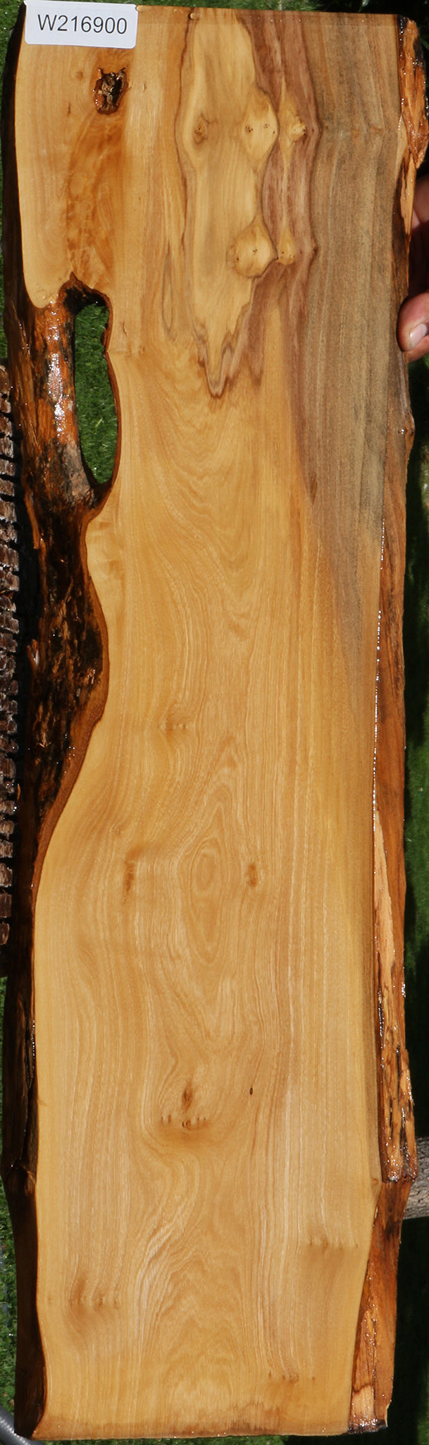 Italian Olive Live Edge Lumber